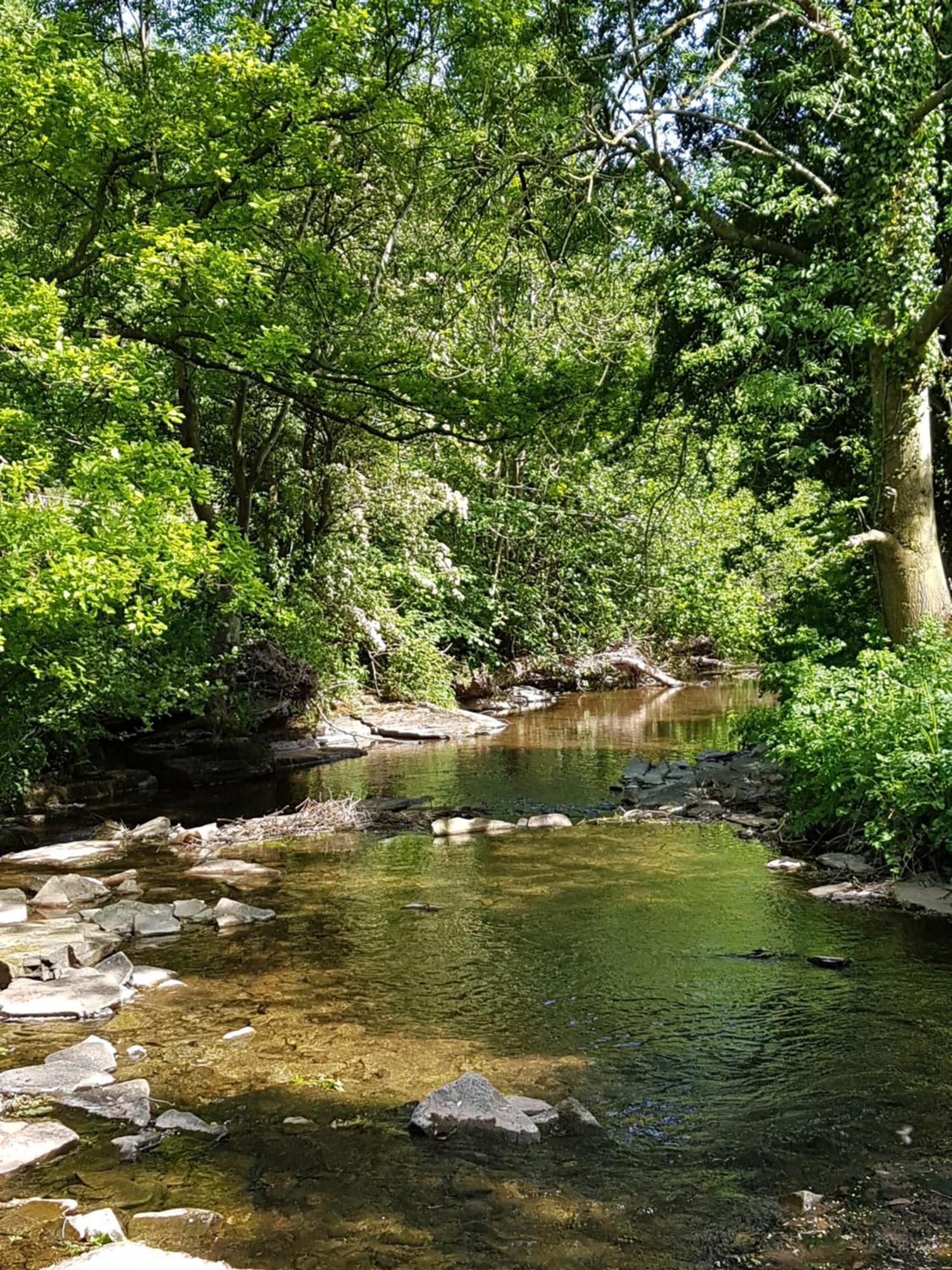 River Cottage@Cwm Mill - Riverside Family Holidays In The Black Mountains Hereford Ngoại thất bức ảnh